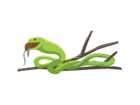 Green Mamba