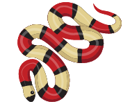 Milk Snake
