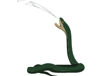 Spitting Cobra