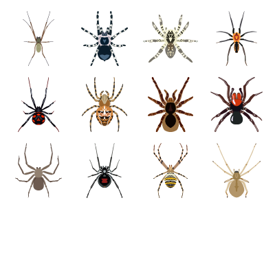 Spiders Preview Small