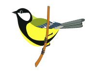 Tomtit