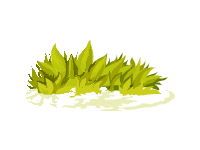 Spring Decoration