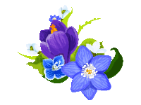 Spring Flowers 1