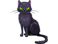 Black Cat
