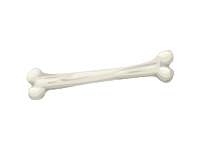 Bone