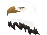 American Eagle