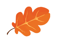 Acorn Leaf