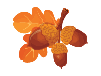 Acorns with Leaves