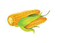 Corn