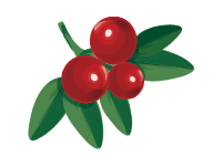 Cranberries 2