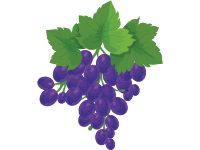 Grapes