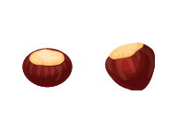 Hazelnuts