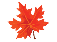 Maple Leaf