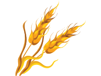 Wheat Stalk