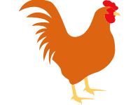 Cock