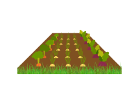 Plantation