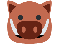 Big Pig Face