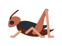 Cricket