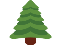 Evergreen Tree