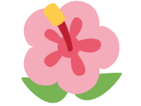 Hibiscus