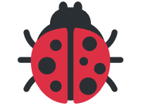 Ladybird Beetle