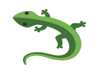 Lizard