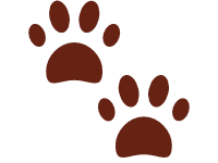 Paw Prints