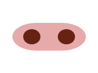 Pig Nose
