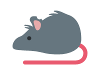 Rat