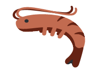 Shrimp