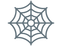Spider Web