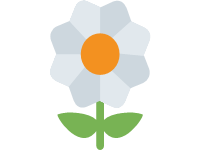 White Flower