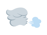 Wind Face