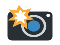 Camera With Flash