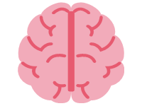 Brain