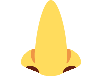 Nose