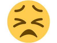 Persevering Face