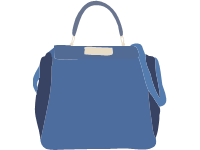 Saddle Bag