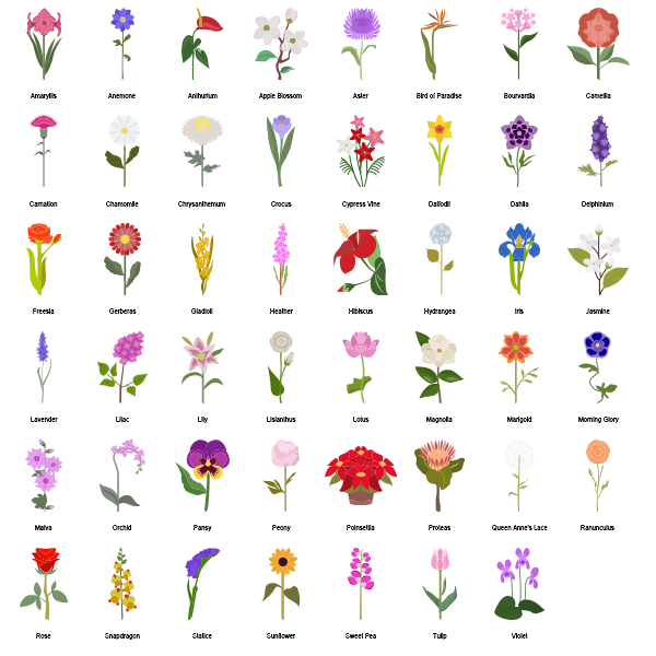 Flowers Preview Large