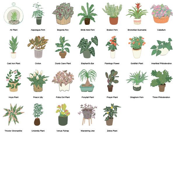 Home Plants Preview Large