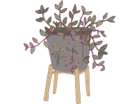 Wandering Jew