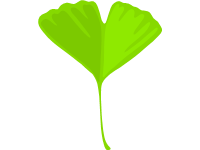 Ginko
