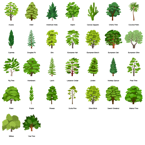 Trees Preview Large