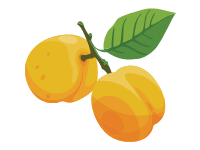Apricot Branch