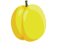 Apricot