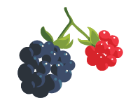 Blackberry Branch
