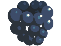 Blackberry