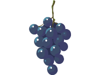 Blue Grapes