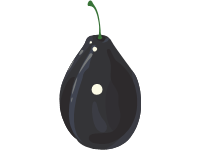 Blue Plum