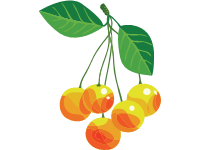 Cherries